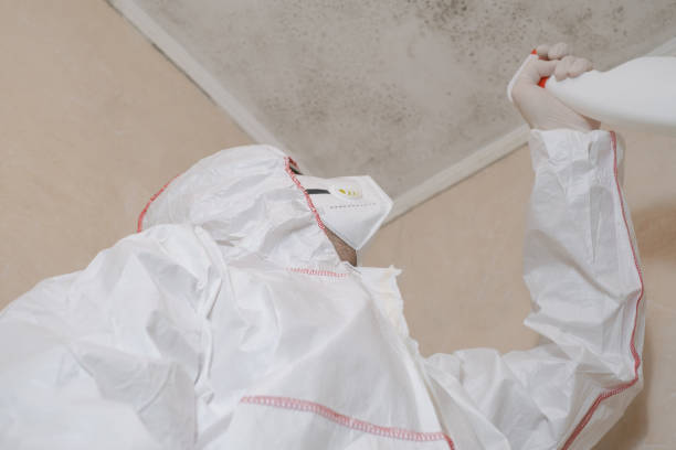 Best Toxic Mold Removal  in Mercersburg, PA